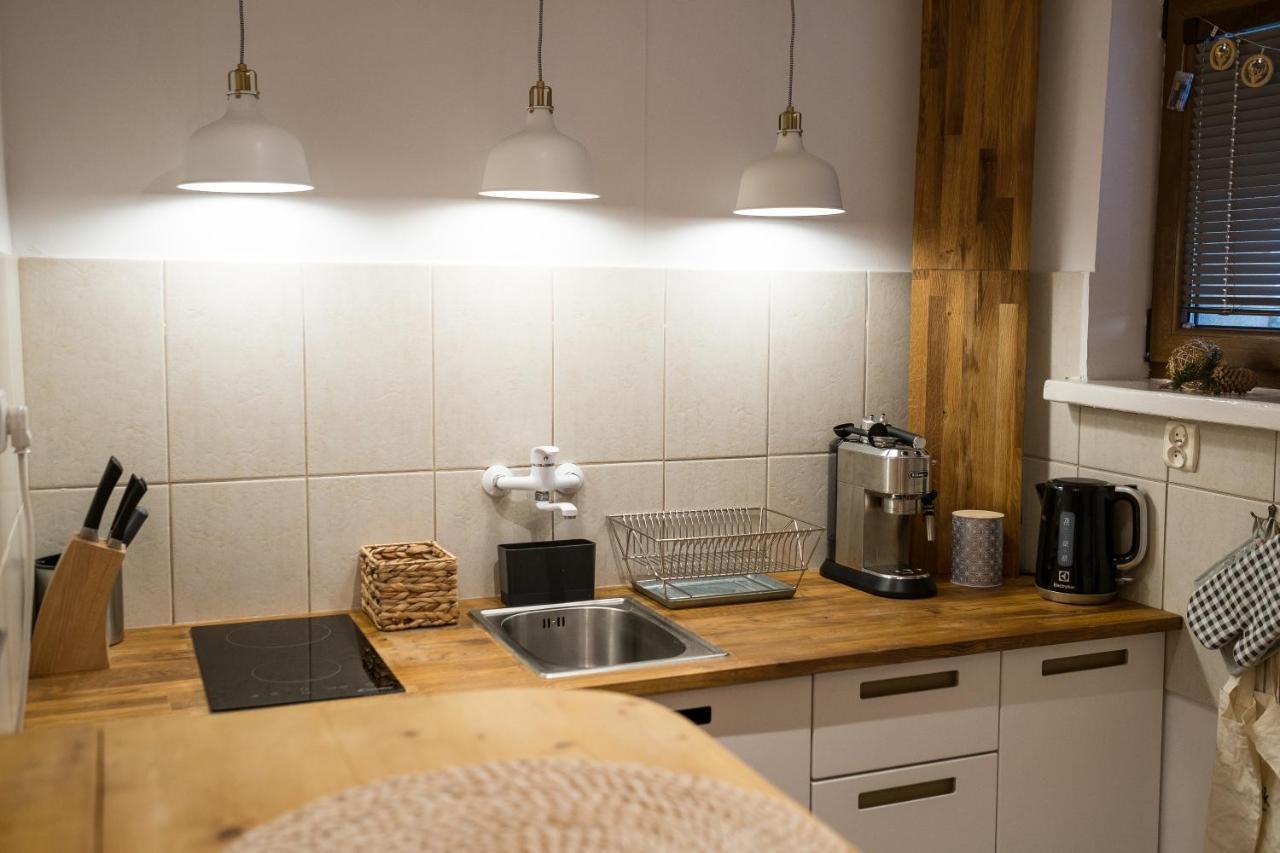Studio Mila I Nido W Centrum Apartzakop Zakopane Extérieur photo