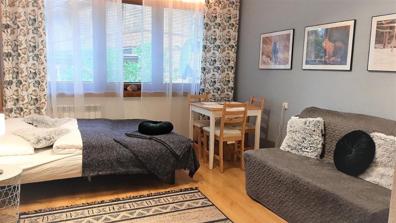 Studio Mila I Nido W Centrum Apartzakop Zakopane Extérieur photo