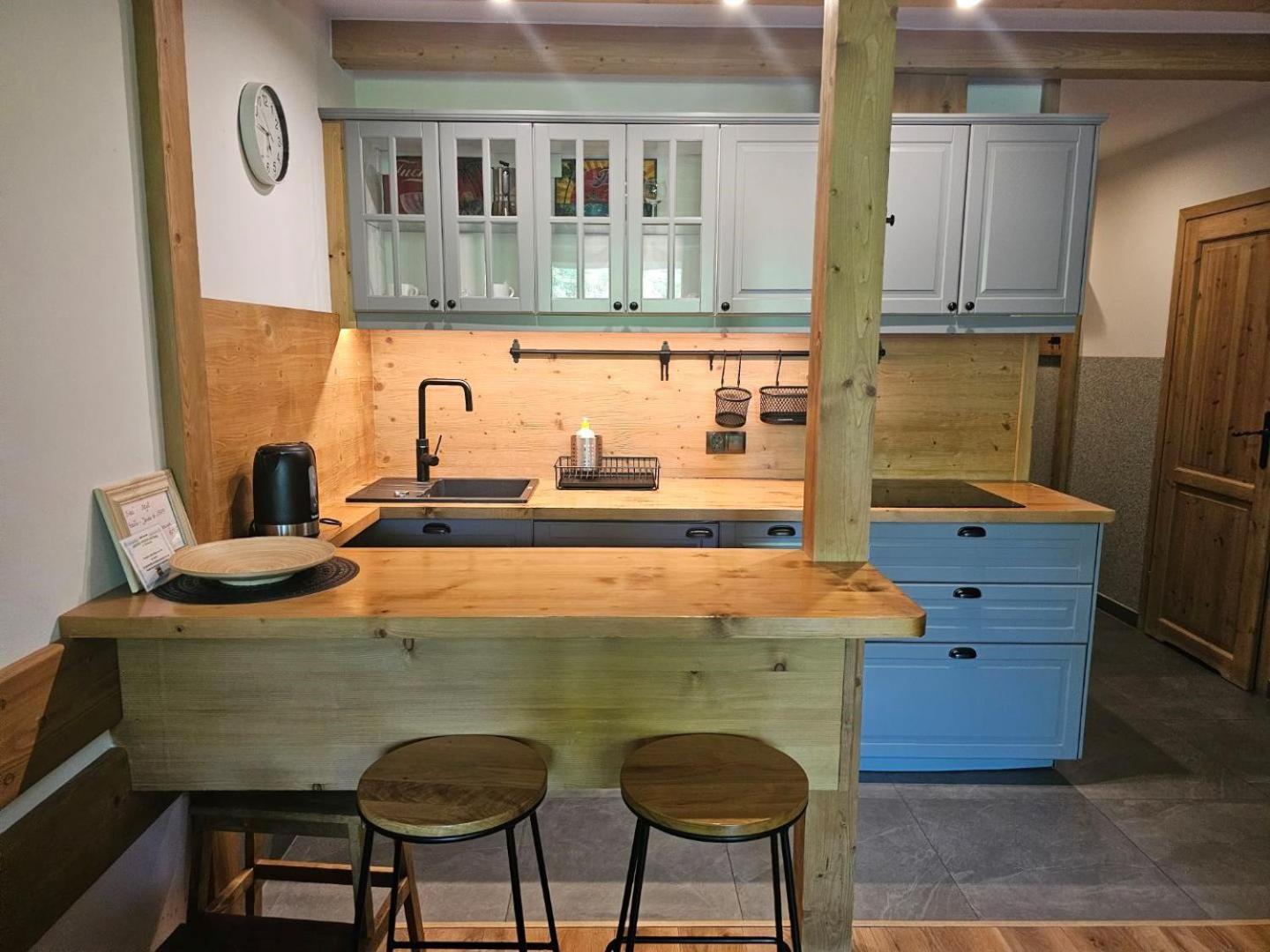 Studio Mila I Nido W Centrum Apartzakop Zakopane Extérieur photo