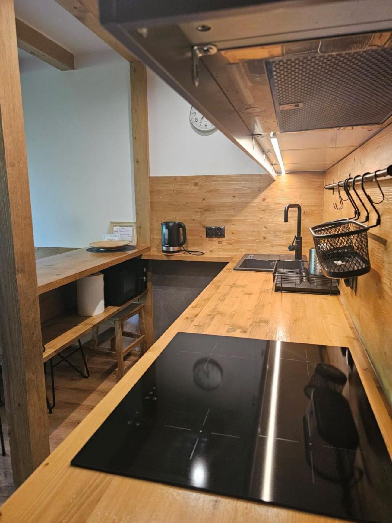 Studio Mila I Nido W Centrum Apartzakop Zakopane Extérieur photo