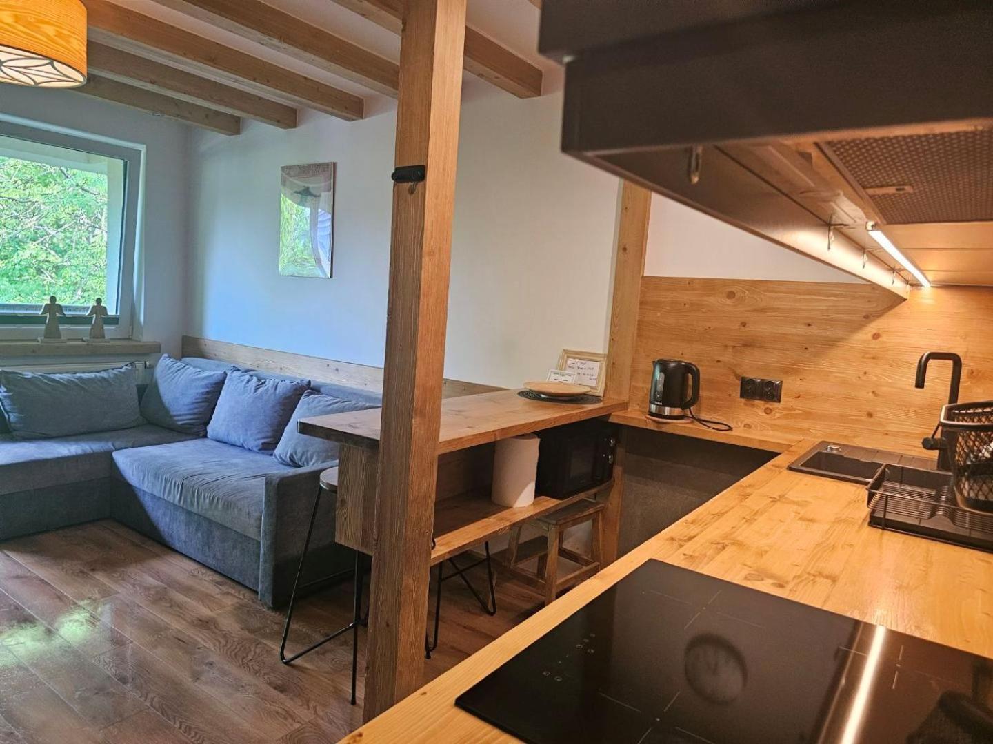 Studio Mila I Nido W Centrum Apartzakop Zakopane Extérieur photo