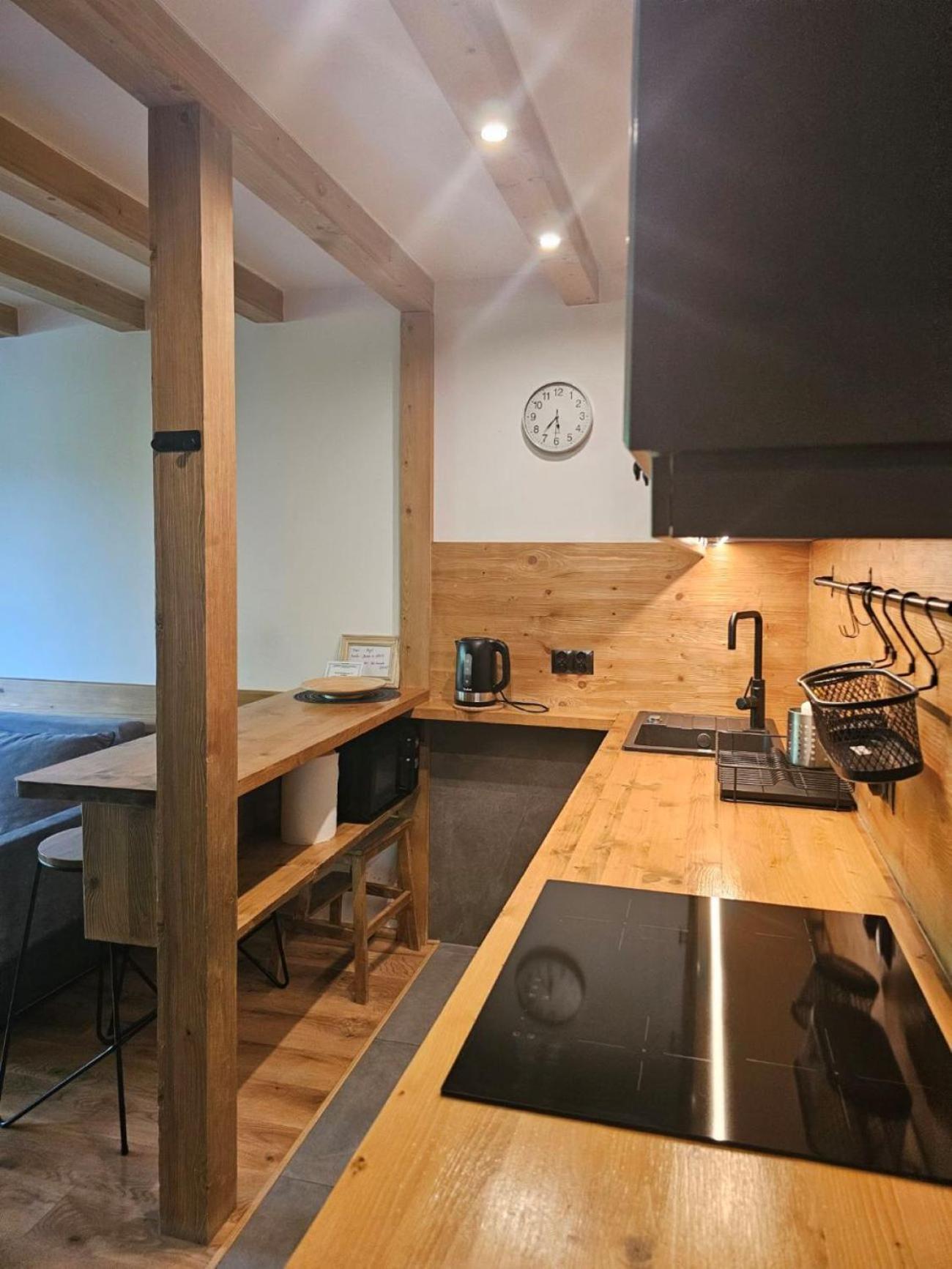 Studio Mila I Nido W Centrum Apartzakop Zakopane Extérieur photo